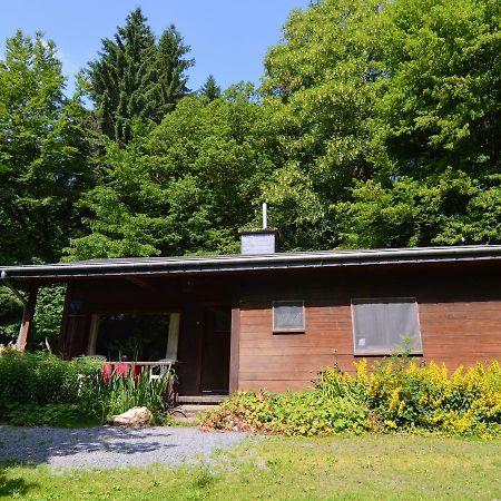 Detached Chalet In Lovely Hiking Region Bellevaux Exterior photo